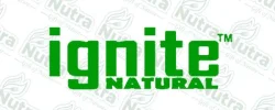 Ignite